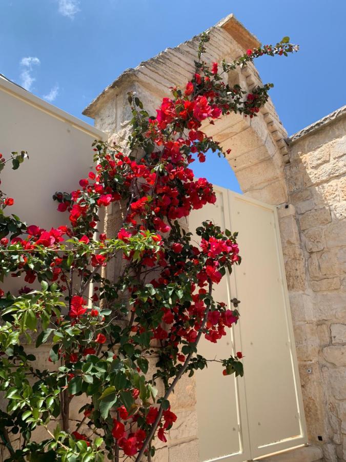 Trullo Monte Olimpo 5 Βίλα Αλμπερομπέλο Εξωτερικό φωτογραφία